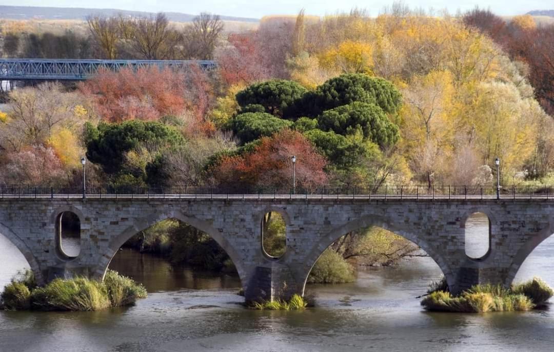 זמורה A Los Ojos Del Rio Duero מראה חיצוני תמונה